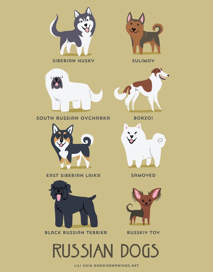 dogs-of-the-world-breeds-posters-lili-chin-4