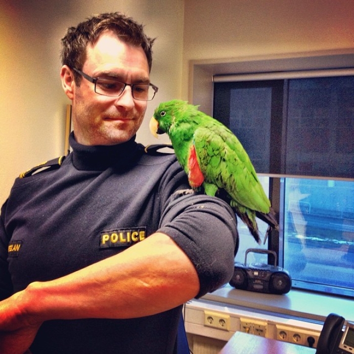 reykjavik-police-logreglan-instagram-iceland-11