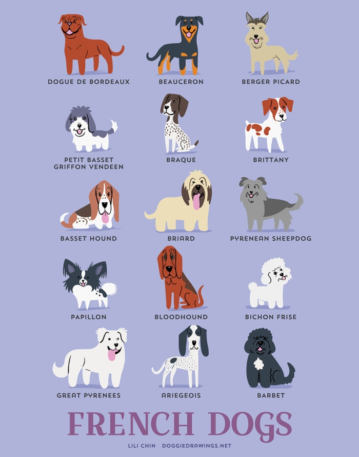 dogs-of-the-world-breeds-posters-lili-chin-7