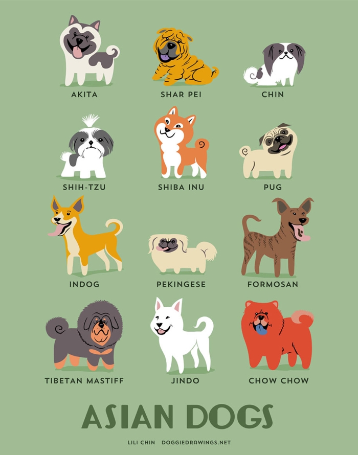 dogs-of-the-world-breeds-posters-lili-chin-12