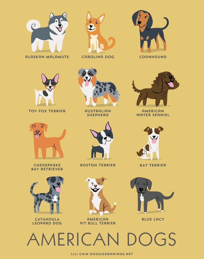 dogs-of-the-world-breeds-posters-lili-chin-13