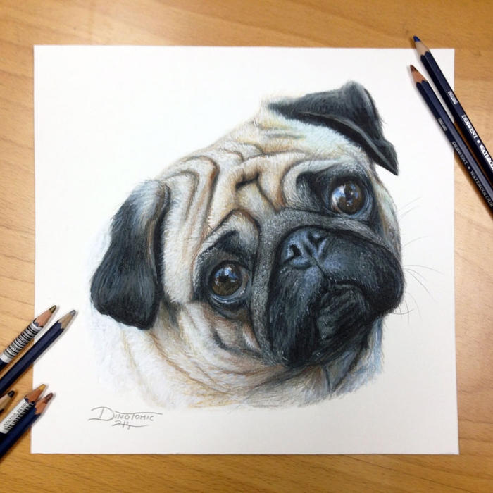 realistic-pencil-drawings-dino-tomic-atomiccircus-21