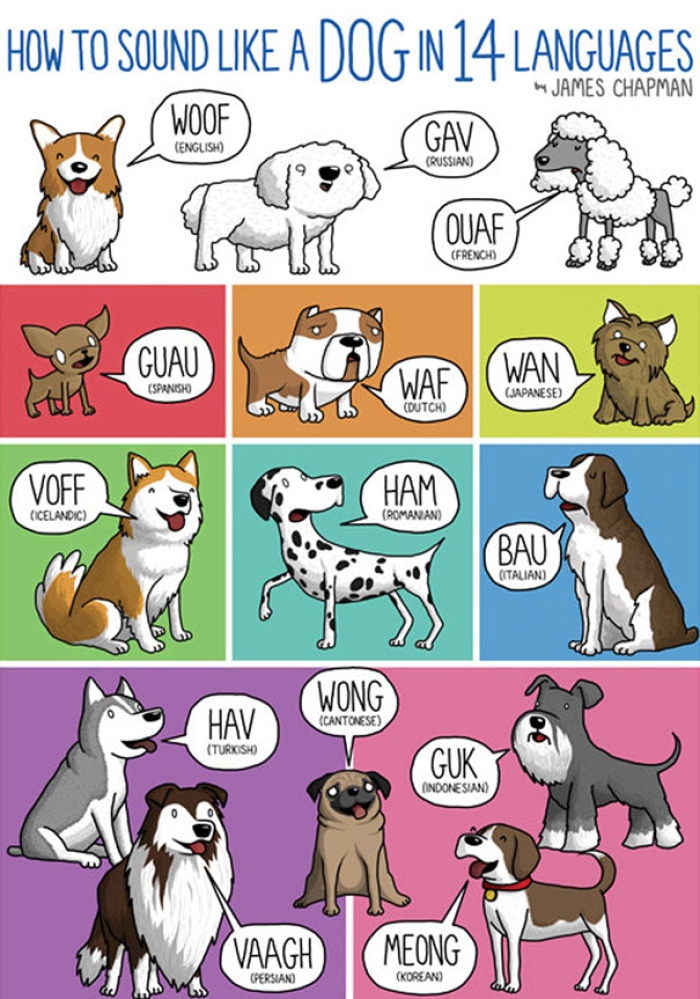 different-languages-expressions-illustrations-james-chapman-7