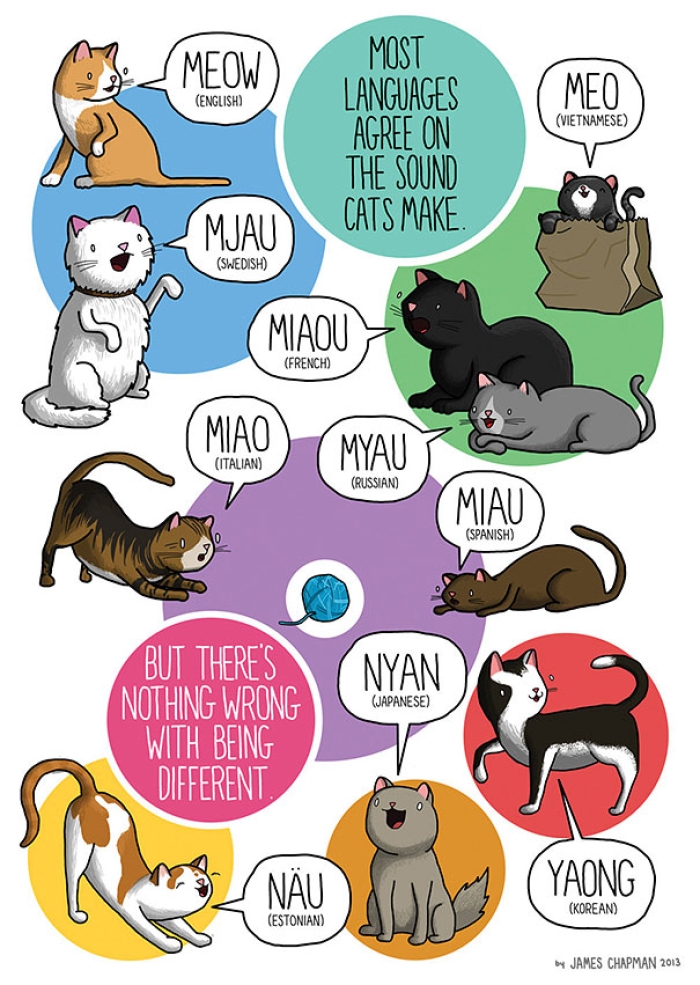 different-languages-expressions-illustrations-james-chapman-8