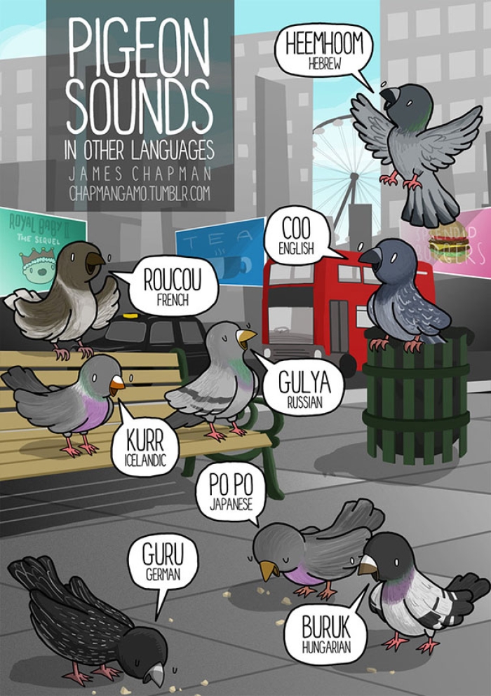 different-languages-expressions-illustrations-james-chapman-2