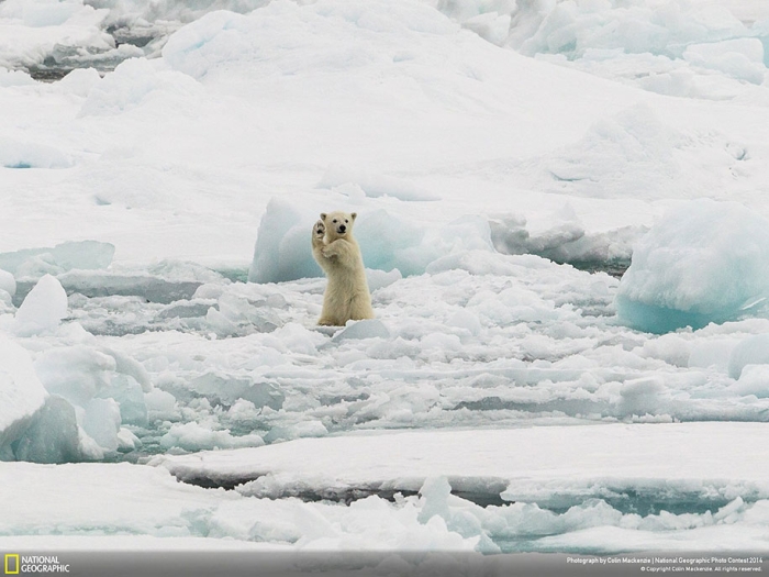 national-geographic-photo-contest-2014-entries-21