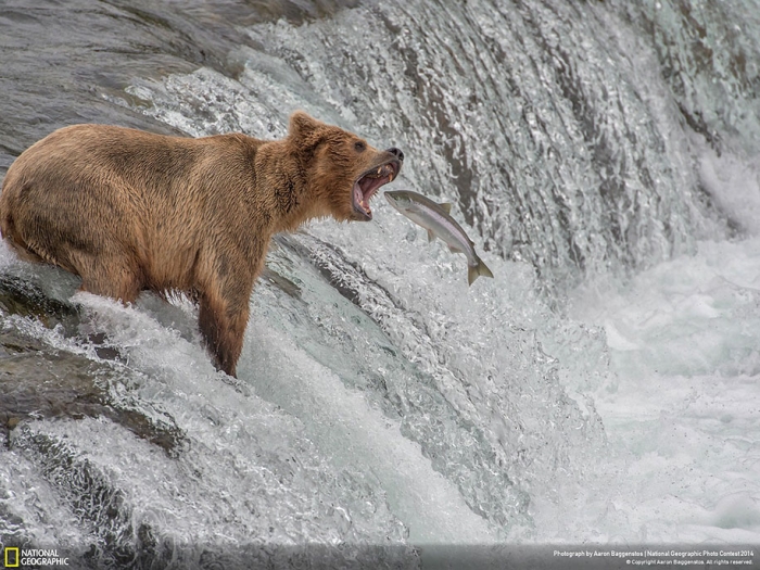 national-geographic-photo-contest-2014-entries-27