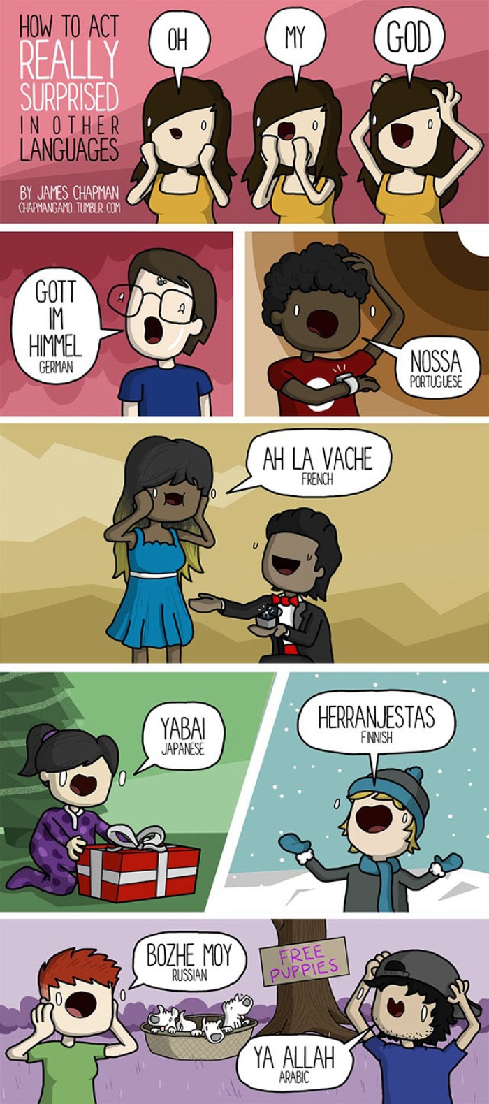 different-languages-expressions-illustrations-james-chapman-10