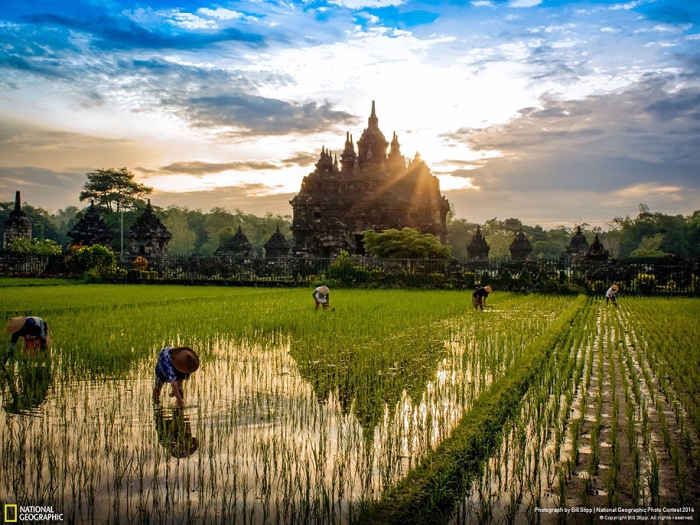 national-geographic-photo-contest-2014-entries-15