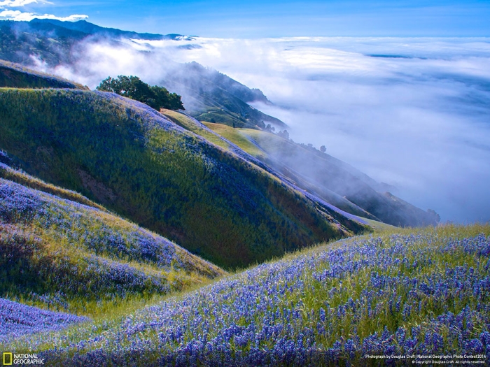 national-geographic-photo-contest-2014-entries-18