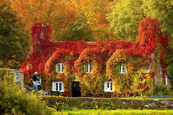 autumn-before-and-after-nature-photography-2