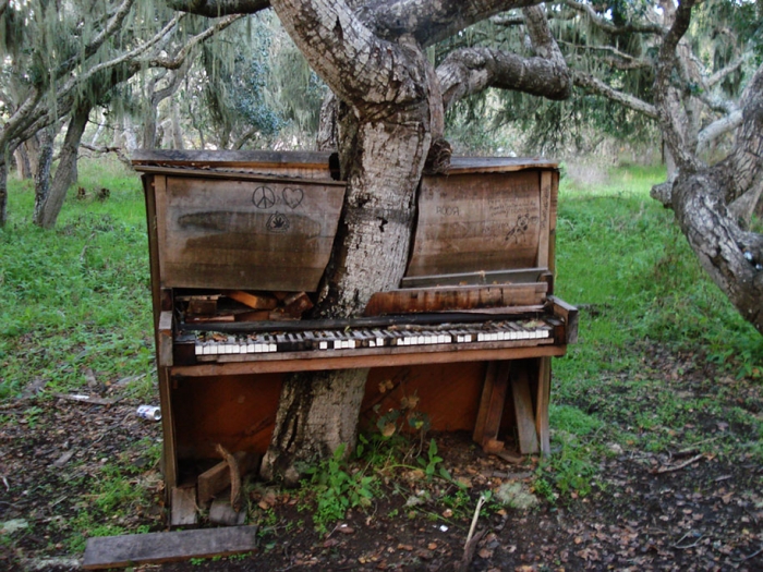 nature-reclaiming-civilization-photography-13