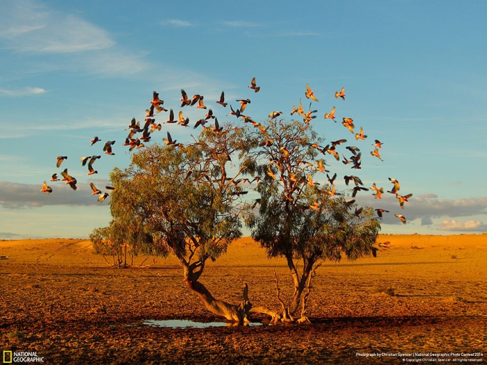 national-geographic-photo-contest-2014-entries-20