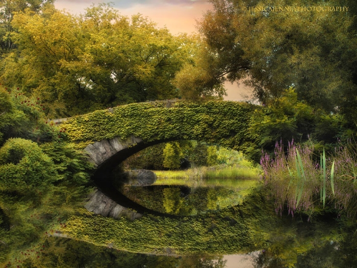 autumn-before-and-after-nature-photography-3