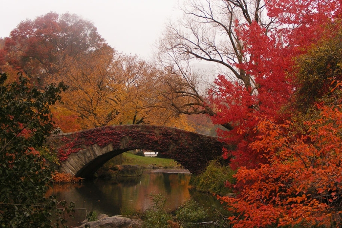 autumn-before-and-after-nature-photography-4