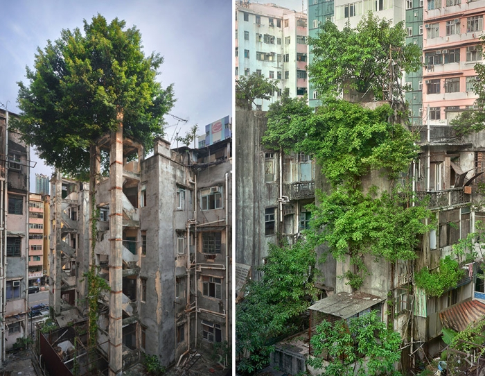 nature-reclaiming-civilization-photography-2