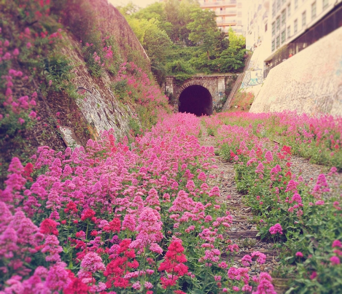 nature-reclaiming-civilization-photography-3