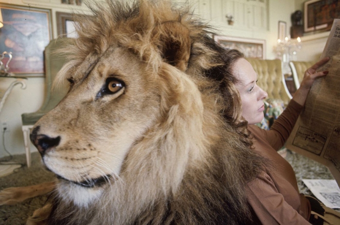 roar-lion-neil-film-photography-michael-rougier-1