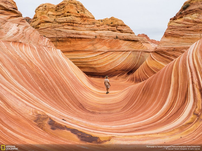 national-geographic-photo-contest-2014-entries-14