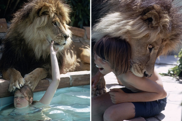roar-lion-neil-film-photography-michael-rougier-2