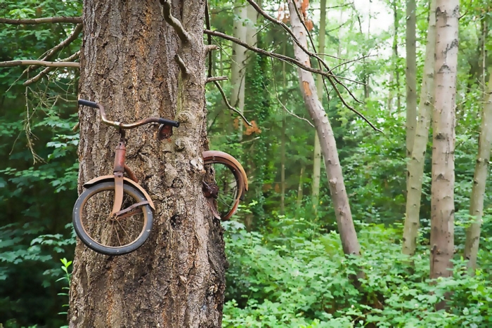 nature-reclaiming-civilization-photography-4