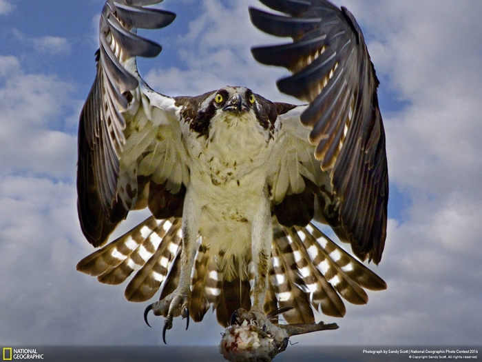 national-geographic-photo-contest-2014-entries-11