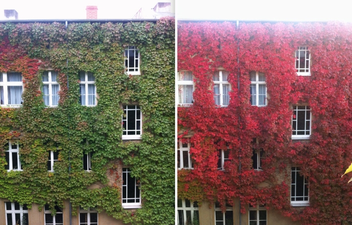 autumn-before-and-after-nature-photography-7