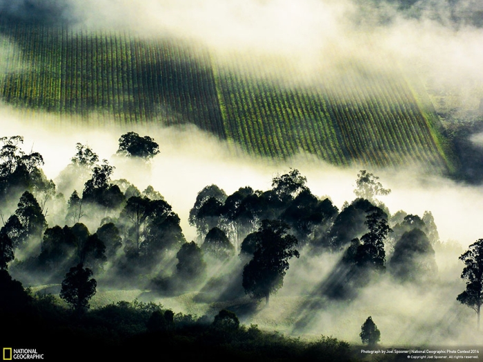 national-geographic-photo-contest-2014-entries-16