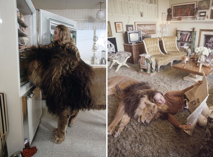 roar-lion-neil-film-photography-michael-rougier-6