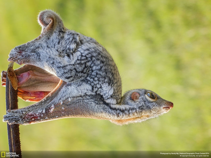 national-geographic-photo-contest-2014-entries-10