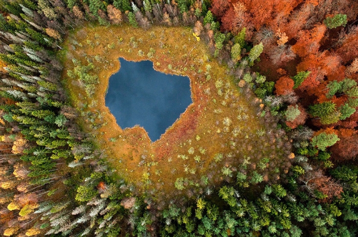 autumn-before-and-after-nature-photography-9