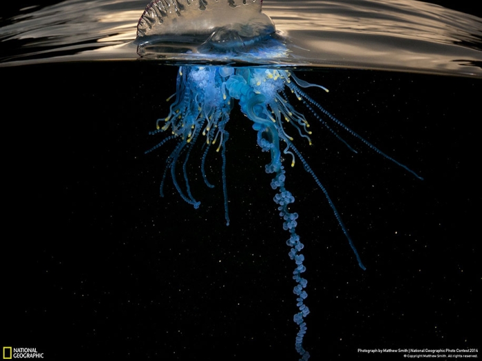 national-geographic-photo-contest-2014-entries-25