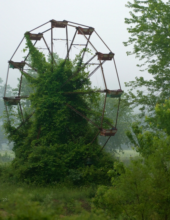 nature-reclaiming-civilization-photography-6