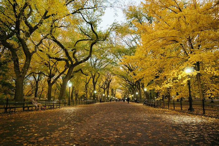 autumn-before-and-after-nature-photography-11