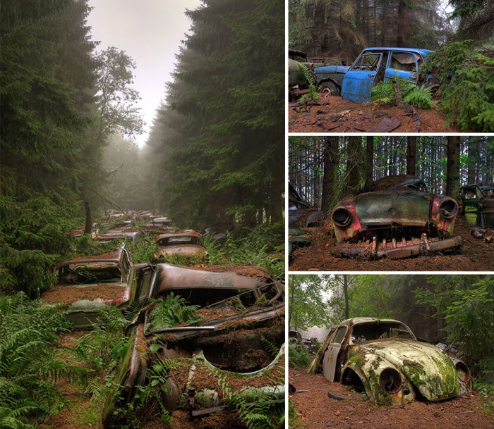 nature-reclaiming-civilization-photography-7