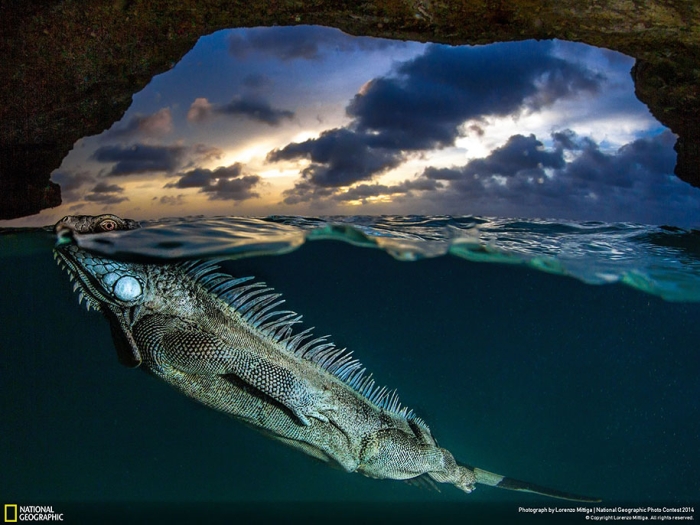 national-geographic-photo-contest-2014-entries-22