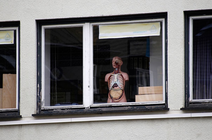 the-sings-of-life-wondows-daniel-zakharov-3