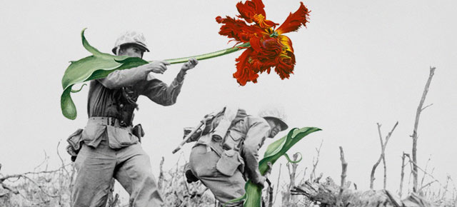 Flowers Replace Guns In Historic Photo Collages By Blick