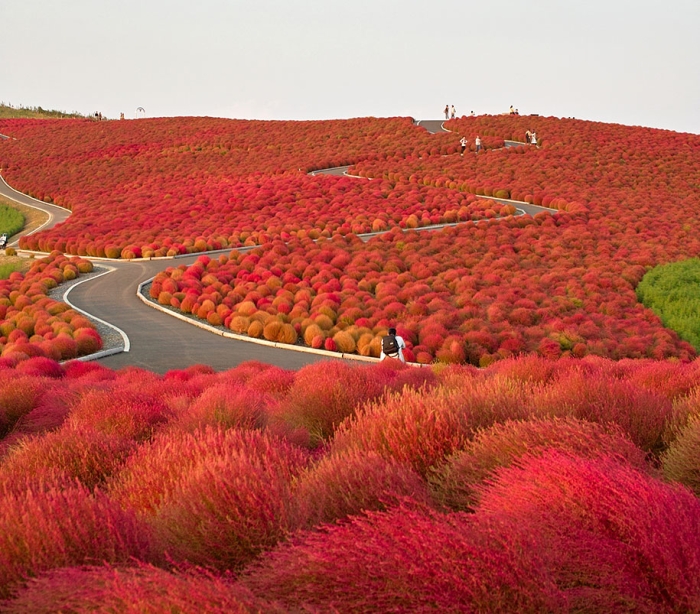 autumn-before-and-after-nature-photography-13