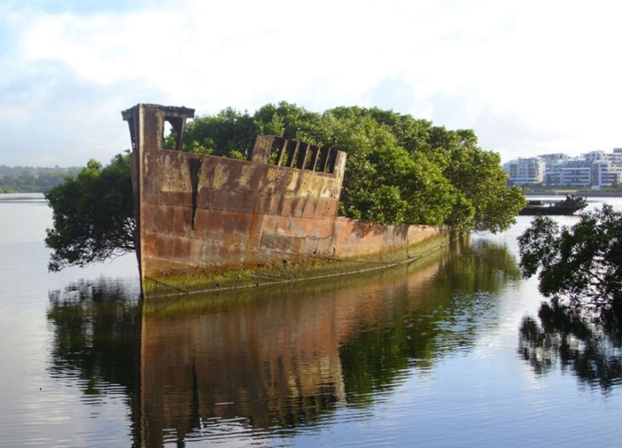 nature-reclaiming-civilization-photography-19