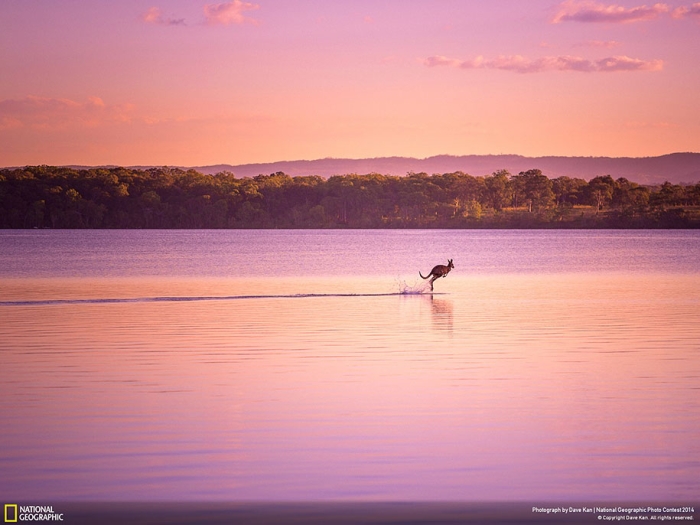 national-geographic-photo-contest-2014-entries-5