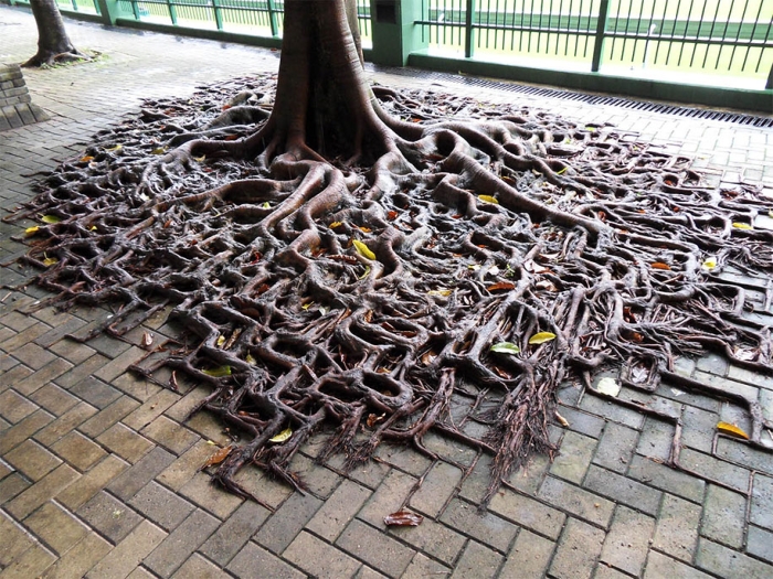 nature-reclaiming-civilization-photography-15