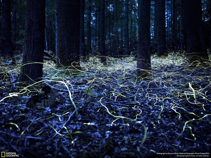 national-geographic-photo-contest-2014-entries-6