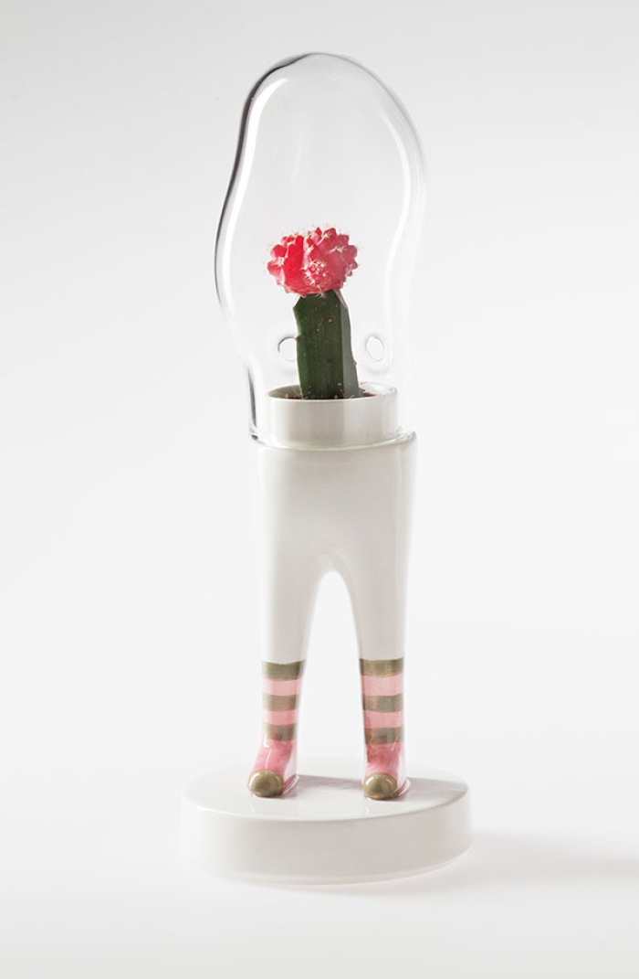 domsai-terrariums-creative-flowerpots-matteo-cibic-6