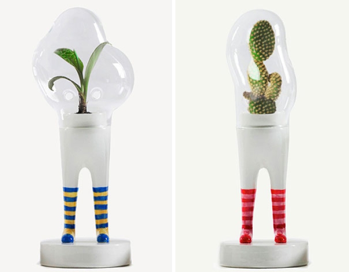 domsai-terrariums-creative-flowerpots-matteo-cibic-12