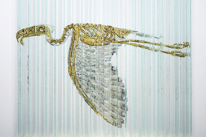 emulsifier-3d-anamorphic-glass-sculpture-thomas-medicus-2