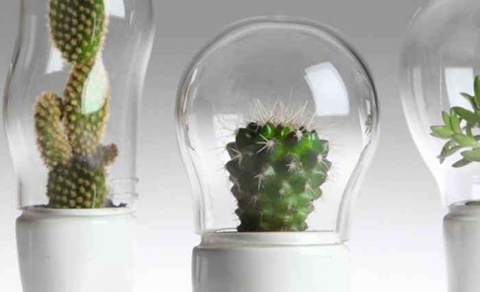 domsai-terrariums-creative-flowerpots-matteo-cibic-1