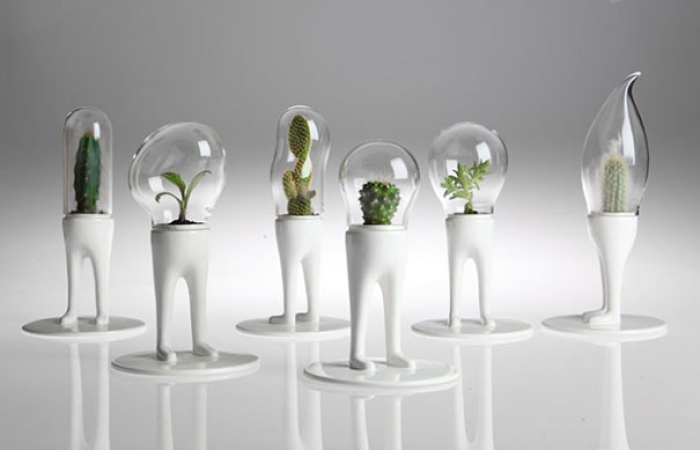 domsai-terrariums-creative-flowerpots-matteo-cibic-2