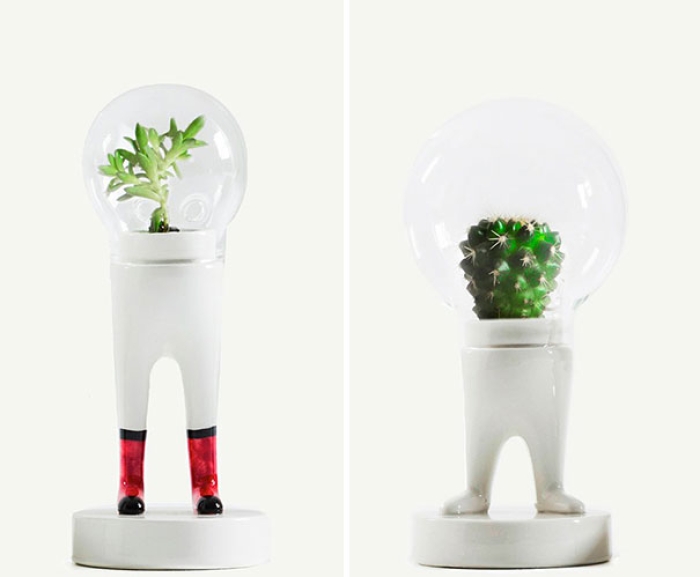 domsai-terrariums-creative-flowerpots-matteo-cibic-13