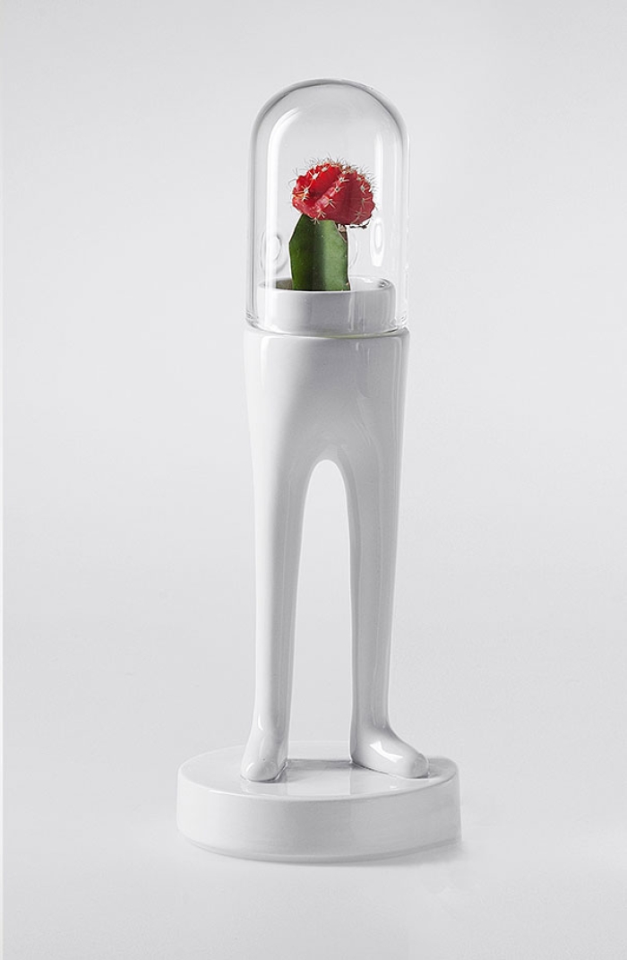 domsai-terrariums-creative-flowerpots-matteo-cibic-7